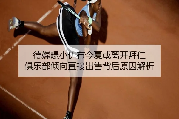 德媒曝小伊布今夏或离开拜仁 俱乐部倾向直接出售背后原因解析
